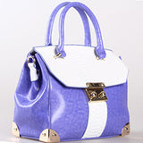 Two Tone Doctor's Bag